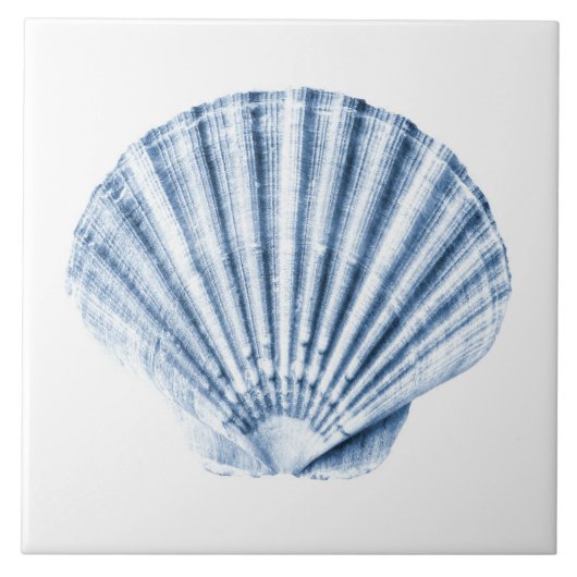 Delfts Blauwe Schelp Zee Schelp Nautilus Strandhui Tegeltje (Voorkant)