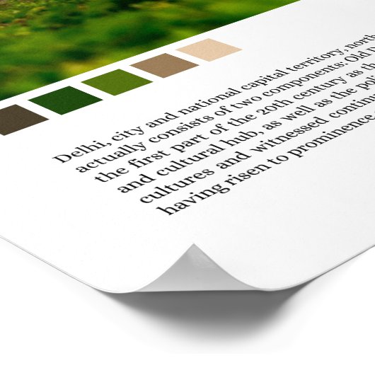 Delhi - India Poster (Hoek)