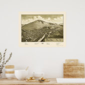 Delhi, NY Panoramic Map - 1887 Poster (Keuken)