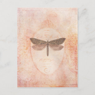delicaat briefkaart