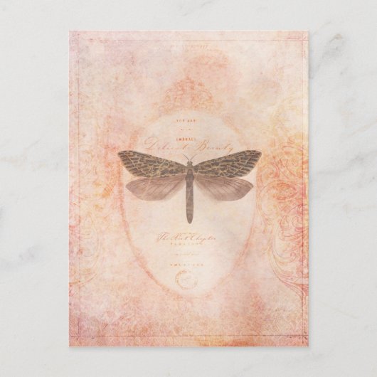 delicaat briefkaart (Voorkant)