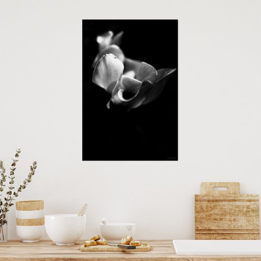 delicaat poster (Keuken)