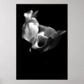 delicaat poster (Voorkant)