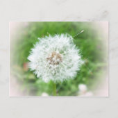 delicaat wit bloesem briefkaart (Voorkant)