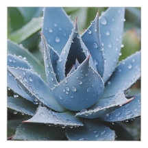 Delicate Agave Botanical Photorealistic Digital