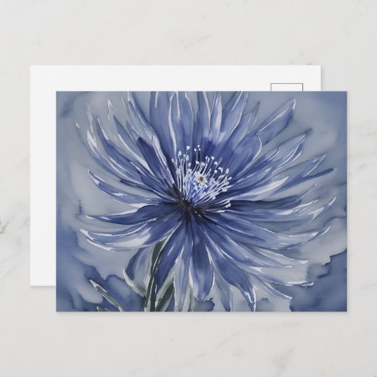 Delicate Anemone Floral Waterverf Briefkaart (Voorkant / Achterkant)