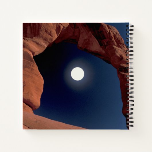 Delicate Arch | Arches National Park Utah Notitieboek (Achterkant)