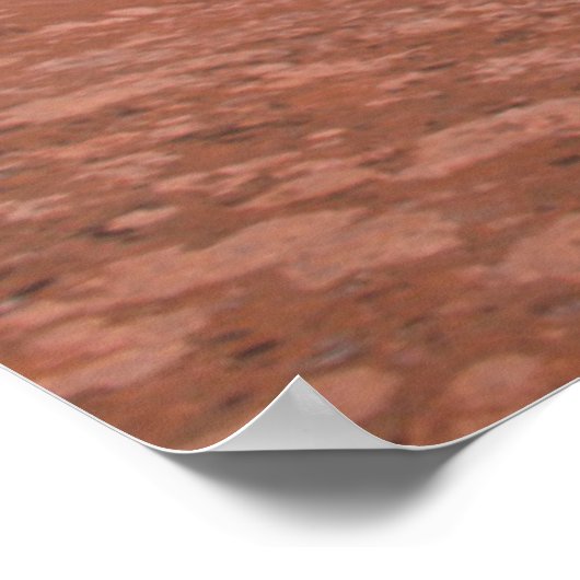 Delicate Arch | Arches National Park Utah Poster (Hoek)