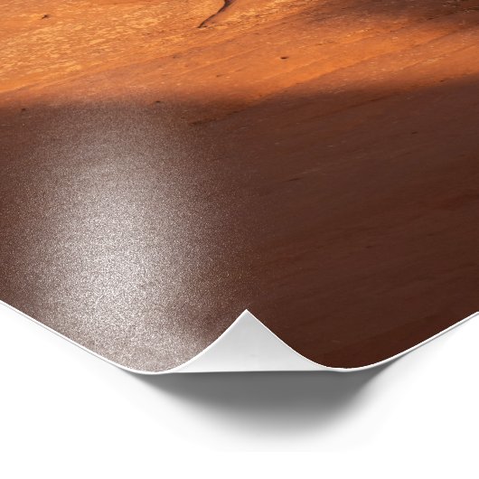 Delicate Arch Foto Afdruk (Hoek)