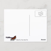 Delicate Arch I in Arches National Park Briefkaart (Achterkant)