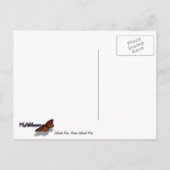 Delicate Arch I in Arches National Park Briefkaart (Achterkant)