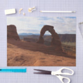 Delicate Arch I in Arches National Park Tissuepapier