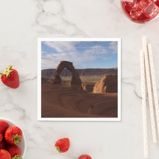 Delicate Arch II in Arches National Park Servet (Insitu)