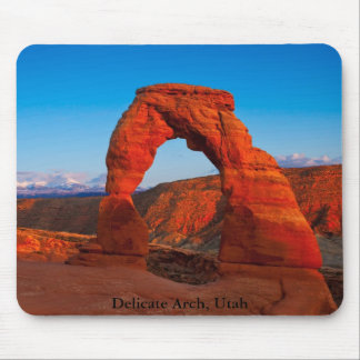 Delicate Arch Muismat