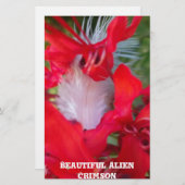 Delicate Beauty: rode bloem met witte veer Briefpapier (Voorkant / Achterkant)