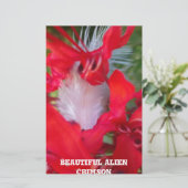 Delicate Beauty: rode bloem met witte veer Briefpapier (Staand voorkant)