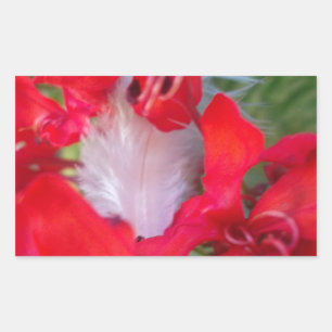 Delicate Beauty: rode bloem met witte veer Rechthoekige Sticker