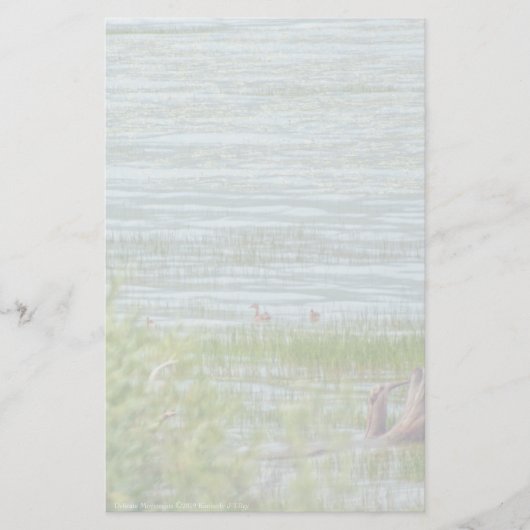 Delicate beweging briefpapier (Voorkant)