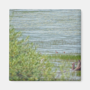 Delicate beweging magneet