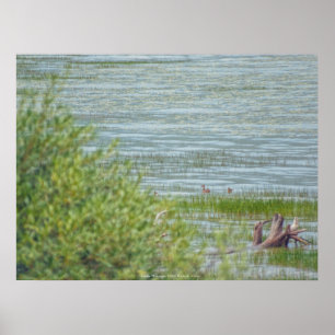 Delicate Beweging Poster
