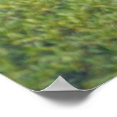 Delicate beweging poster (Hoek)