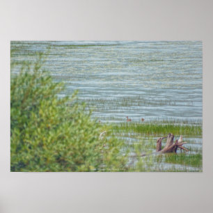 Delicate beweging poster