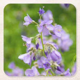 Delicate blauwe bloemen op een groen veld in een l kartonnen onderzetters