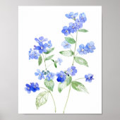 delicate blauwe Brunnera bloemen wilde bloem Poster (Voorkant)