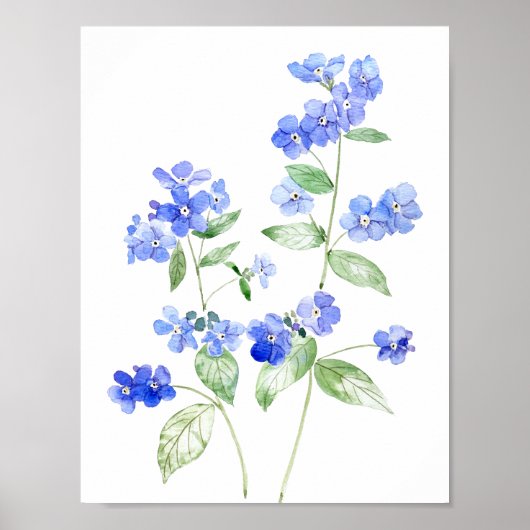 delicate blauwe Brunnera bloemen wilde bloem Poster (Voorkant)