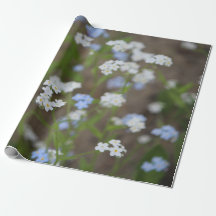 Delicate Blauwe En Witte Bloemen