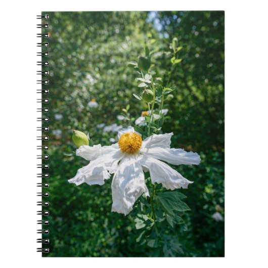 Delicate Bloei van Boslicht Notitieboek (Voorkant)