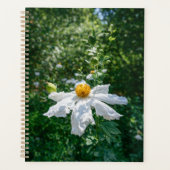 Delicate Bloei van Boslicht Planner (Voorkant)