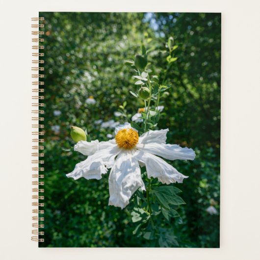 Delicate Bloei van Boslicht Planner (Voorkant)
