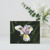 delicate bloem briefkaart (Staand voorkant)