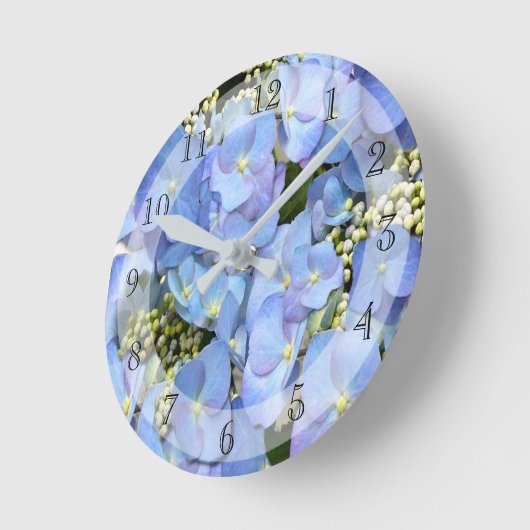 Delicate Blue Lacecap Hydrangea Ronde Klok (Hoek)