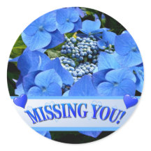 Delicate Blue Lacecap Hydrangea