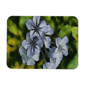 Delicate Blue Plumbago Blossom Painting Magneet (Horizontaal)