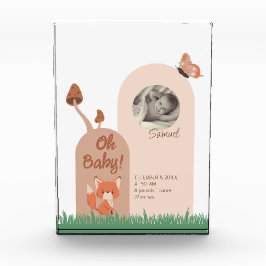 Delicate bos-thema Fox Baby Stats Fotoblokken