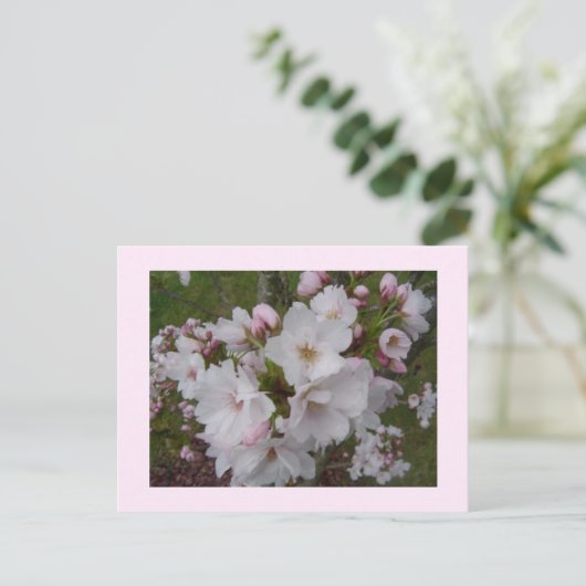 Delicate Cherry Blossom Briefkaart (Staand voorkant)