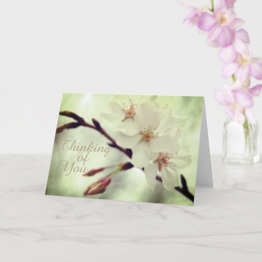 Delicate Cherry Blossom Card Kaart (Orchidee)