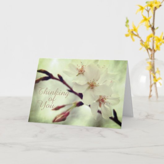 Delicate Cherry Blossom Card Kaart (Gele Bloem)