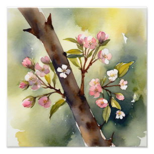 Delicate Cherry Blossoms Waterverf schilderij Foto Afdruk