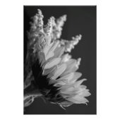 Delicate contrast foto afdruk (Voorkant)