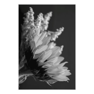 Delicate contrast foto afdruk