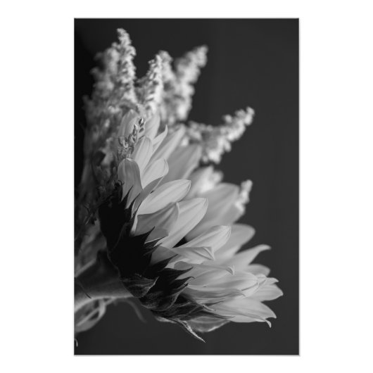 Delicate contrast foto afdruk (Voorkant)