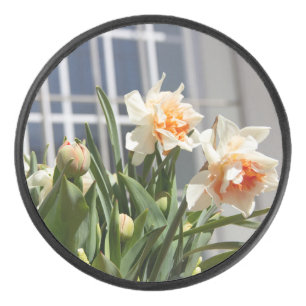 Delicate cute narcissen lente hockey puck