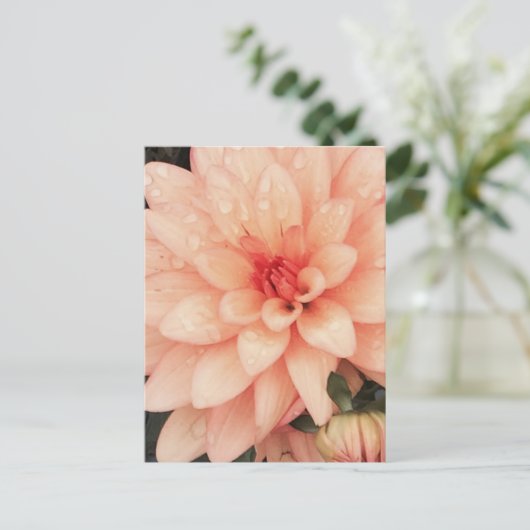 Delicate Dahlia Briefkaart (Staand voorkant)