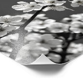 Delicate Dance: Kersenbloesems in zwart-wit Foto Afdruk (Hoek)