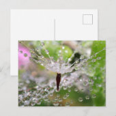 Delicate Dandelion Abstract Briefkaart (Voorkant / Achterkant)