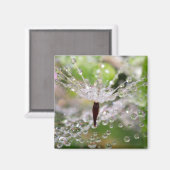Delicate Dandelion Abstract Magneet (Voorkant / Achterkant)